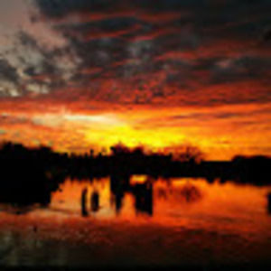 Meet your Posher, Debra